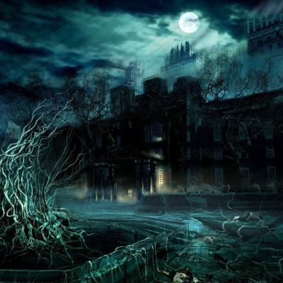 1920 x 1080 HD Wallpapers 1255